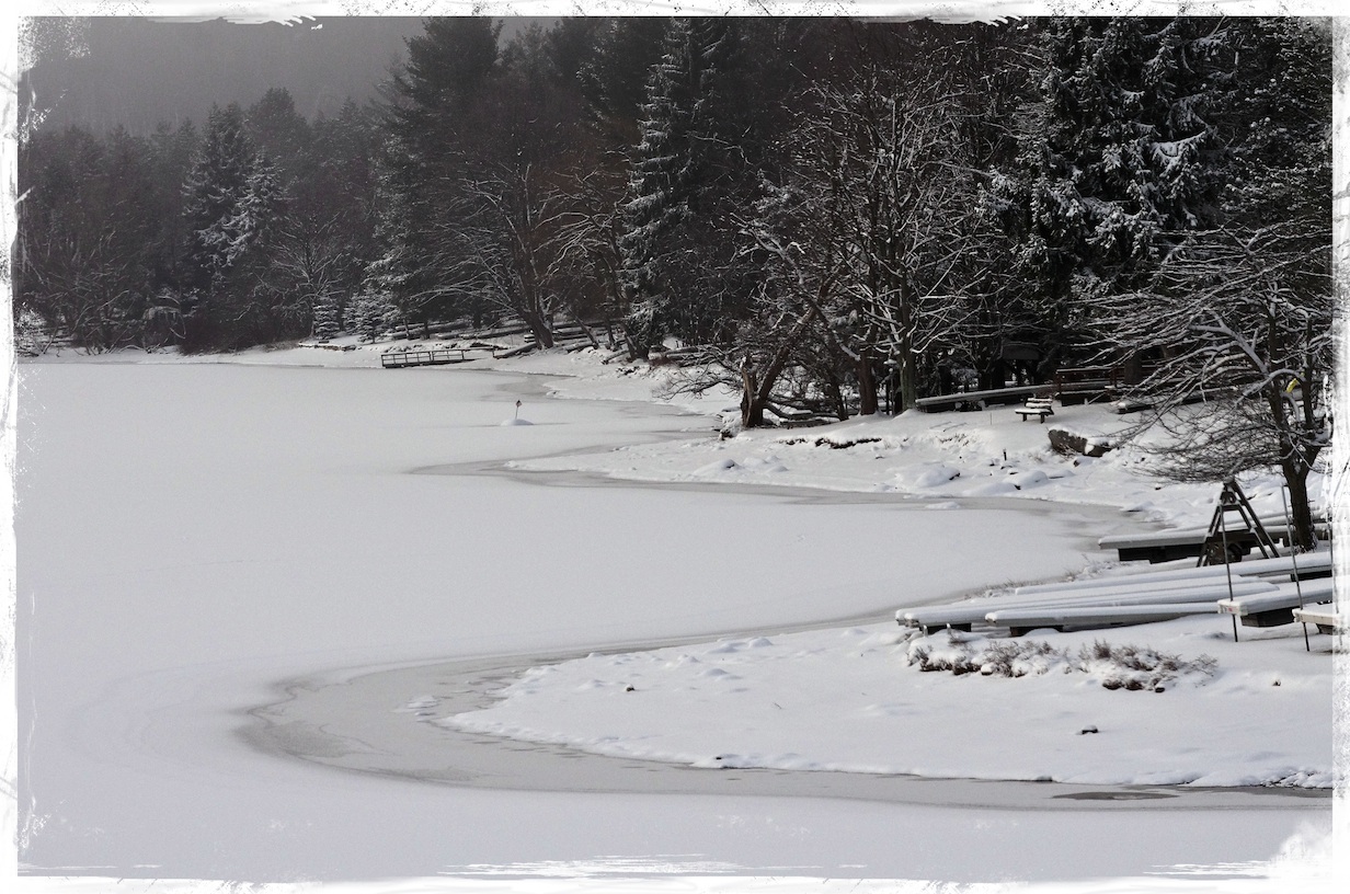 Groundwater melting ice along the shore line