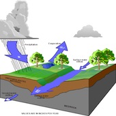 Water Budget Study